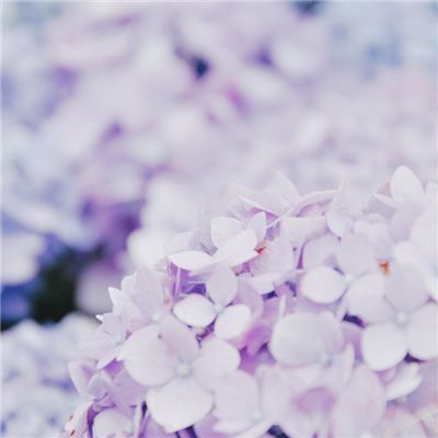 外星王子游戏下载