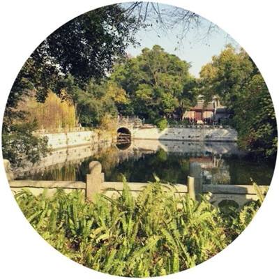 仙宝奇缘bt版下载